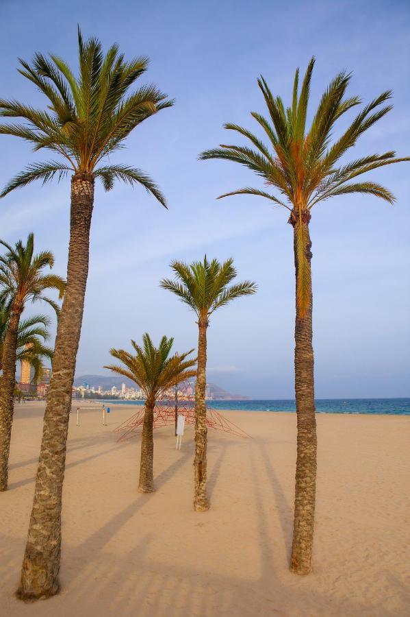 Ibis Hotel Alicante Esterno foto